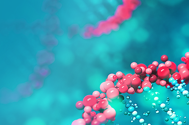 Integrative genetics in clinical practice. Correction of age-related changes taking into account genetic testing results.