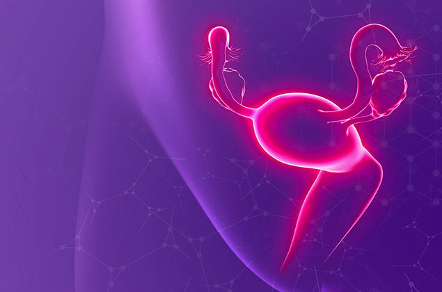 The female sexual system and the physiology of the female body at different ages. Reproductology from an anti-age medicine perspective. Age-related changes in the female endocrine system and correction of menopausal disorders.