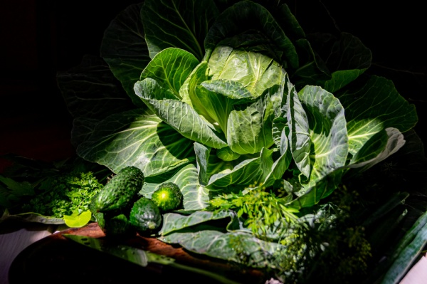  Польза и вред вегетарианства