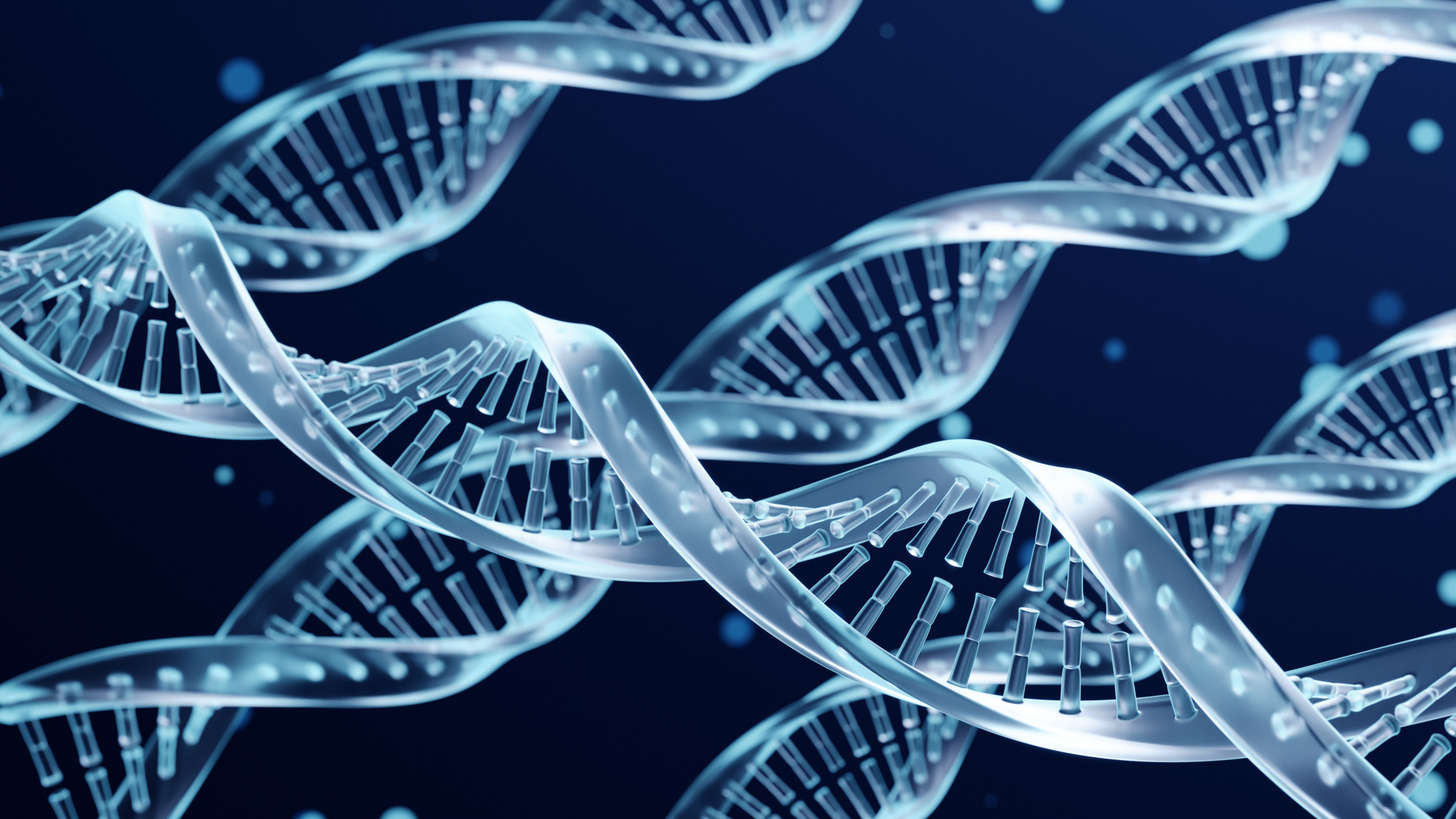 Экзосомы и физиологические процессы Экзосомы и физиологические процессы