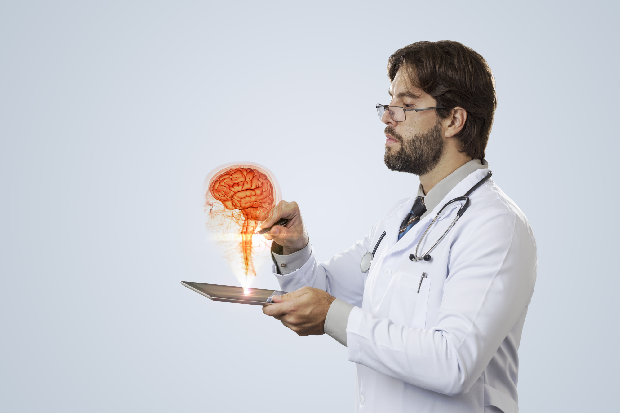 Анатомия гипофиза Анатомия гипофиза