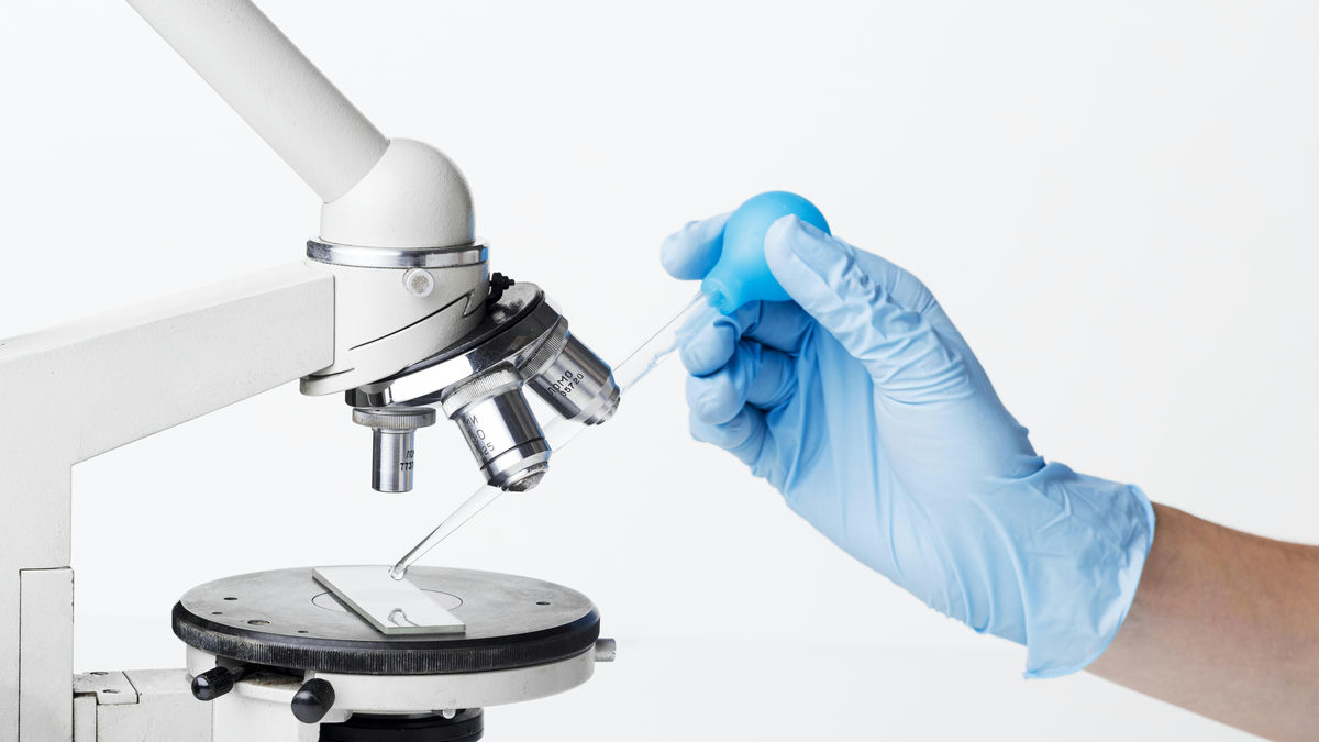 bakterii-pod-mikroskopom.jpg bakterii-pod-mikroskopom.jpg