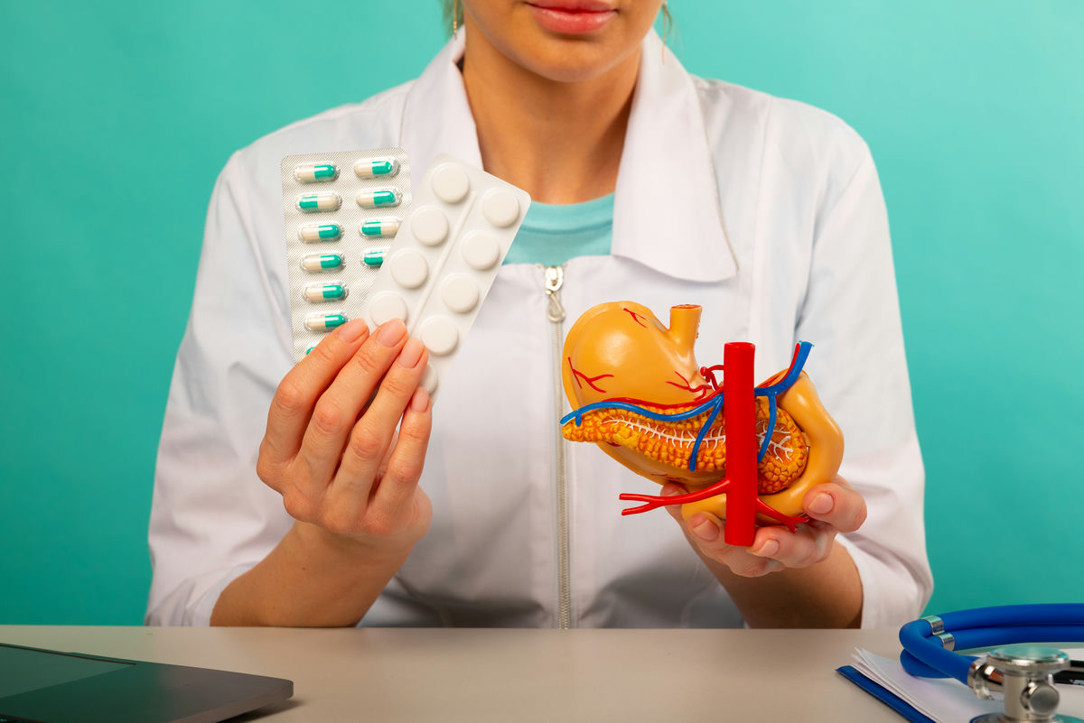 anatomija-pochki.jpg anatomija-pochki.jpg