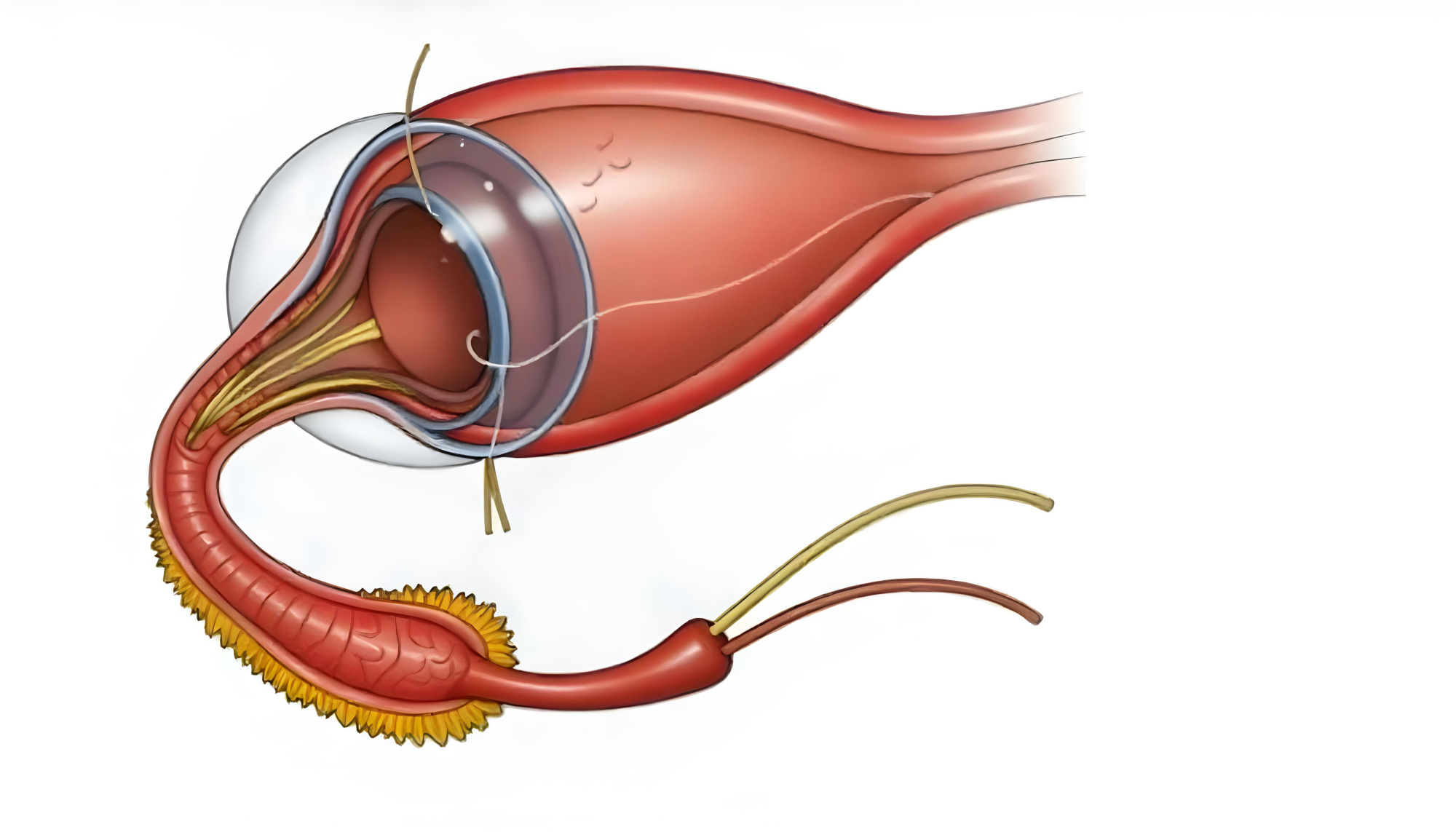 myshtsy.jpg myshtsy.jpg