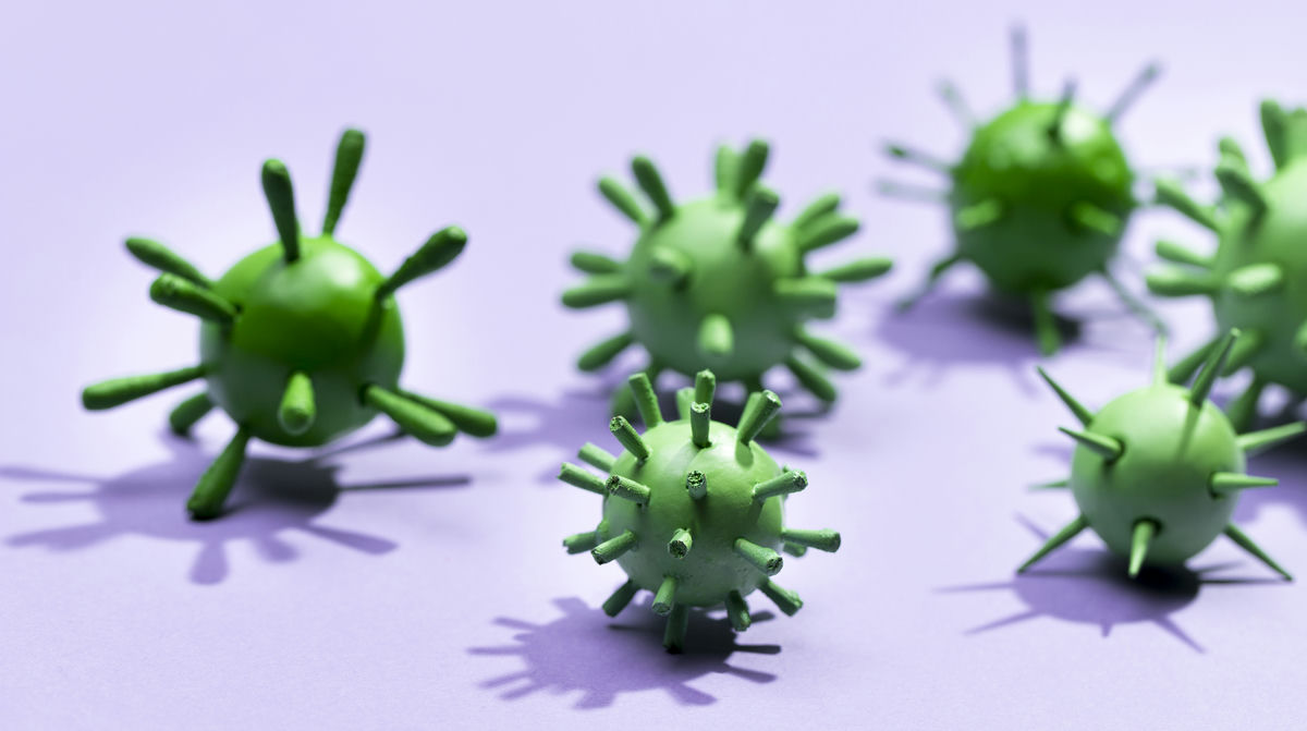 maket-bakterij.jpg maket-bakterij.jpg